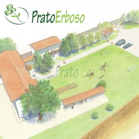 Bewässerungsprojekt für Rasenflächen bis 2000 m2