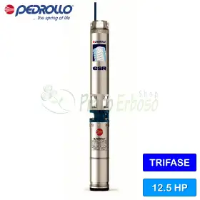 6SR18/11 - PSR - Pompe électrique submersible triphasée 12,5 CV Pedrollo - 1