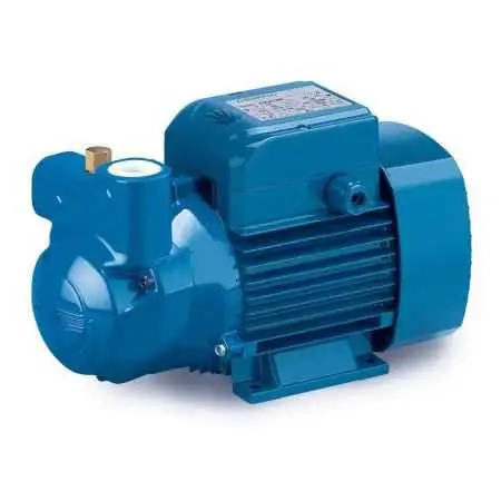 CKR 90 - Pompe électrique triphasée auto-amorçante à anneau liquide de 1 HP Pedrollo - 1