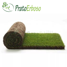 GreenZolla - Suscripción a basura ecológica Prato Erboso - 4