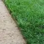 GreenZolla - Suscripción a basura ecológica Prato Erboso - 3