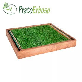 GreenZolla - Abonim për mbeturinat ekologjike Prato Erboso - 1