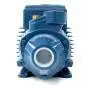 PKm 80 – Elektropumpe mit 1 PS einphasigem Peripherallaufrad