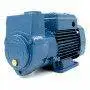 CKm 50 - Elettropompa autoadescante ad anello liquido monofase da 0.50 HP Pedrollo - 1