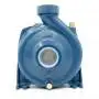 HF 51A - Elettropompa centrifuga trifase da 1 HP Pedrollo - 3