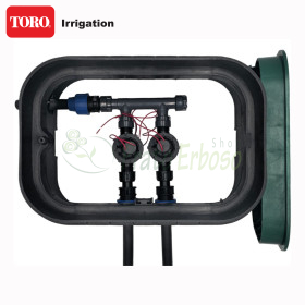 PA-EZP-2 - 1" assembled sump, 2 zones TORO Irrigazione - 1