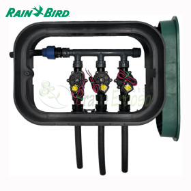 PA-DV-3-9V - Pump asamblat de 1" cu 3 zone Rain Bird - 1
