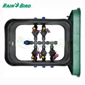 PA-DV-5-9V - Pozzetto assemblato da 1" 5 zone Rain Bird - 1