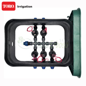 PA-EZP-5 - 1" 5 zone assembled sump TORO Irrigazione - 1
