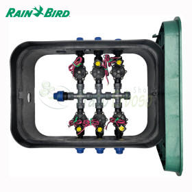 PA-DV-6-9V - Sumidero ensamblado de 1" y 6 zonas Rain Bird - 1