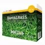Bahiagrass - 500g Rasensamen
