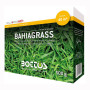 Semințe de gazon Bahiagrass - 500g