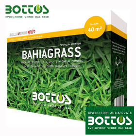 Semințe de gazon Bahiagrass - 500g