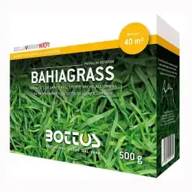 Semințe de gazon Bahiagrass - 500g