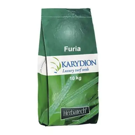 Furia - sementi per prato da 10 kg
