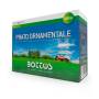 Gazon ornemental - 500 g de graines de gazon