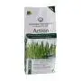 Aktion – 4 kg Rasendünger