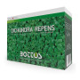 Dicondra Repens - Sementi per prato da 1 Kg