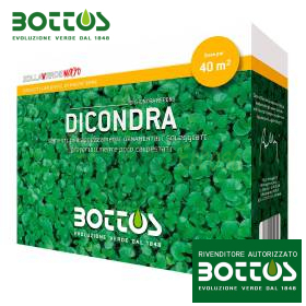 Dicondra - Rasensamen 500g