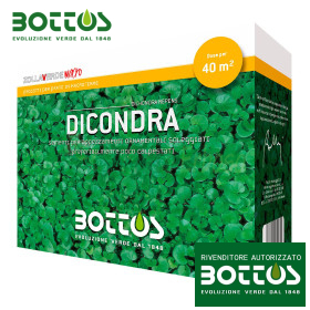 Dicondra - Graines de gazon 500g