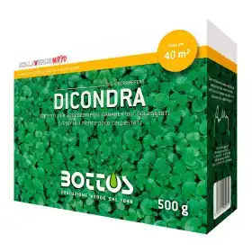 Dicondra - Graines de gazon 500g