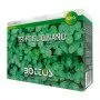 Zwergklee – 500 g Rasensamen