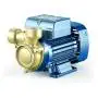Pompe électrique triphasée à turbine périphérique PQ 81-Bs - 0,75 CV
