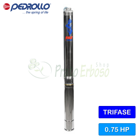 3SR 2/21 - electropompa submersibila trifazata 0,75 CP Pedrollo - 1 3SR 2/21 - electropompa submersibila trifazata 0,75 CP Pedrollo - 1