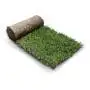 GreenZolla – Ökologische echte Rasenstreu Prato Erboso - 4