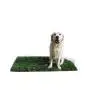 GreenZolla - Ecological litter made from real grass Prato Erboso - 2