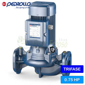 WR 50/125-SB - Bomba centrífuga eléctrica trifásica de 0,75 HP