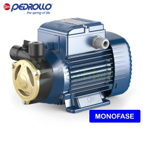 PQAm 60 - Pompă electrică cu rotor periferic monofazat de 0,50 CP Pedrollo - 1 PQAm 60 - Pompă electrică cu rotor periferic monofazat de 0,50 CP Pedrollo - 1
