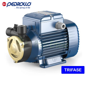 PQA 60 - Pompë elektrike me shtytës periferike trefazore 0,40 HP Pedrollo - 1 PQA 60 - Pompë elektrike me shtytës periferike trefazore 0,40 HP Pedrollo - 1