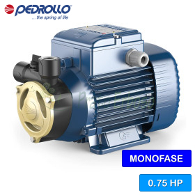 PQAm 70 - Pompă electrică cu rotor periferic monofazat de 0,75 CP Pedrollo - 1 PQAm 70 - Pompă electrică cu rotor periferic monofazat de 0,75 CP Pedrollo - 1