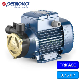 PQA 70 - Pompe électrique avec roue périphérique triphasée de 0,75 CV Pedrollo - 1 PQA 70 - Pompe électrique avec roue périphérique triphasée de 0,75 CV Pedrollo - 1