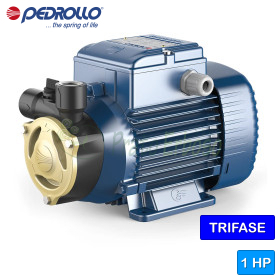 PQA 90 – Elektropumpe mit 1 PS dreiphasigem Peripherallaufrad Pedrollo - 1 PQA 90 – Elektropumpe mit 1 PS dreiphasigem Peripherallaufrad Pedrollo - 1