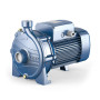 CP 160A - Pompe centrifuge électrique triphasée de 3 CV
