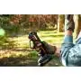 WG330E.9 - Pruning shears cutting 22 mm