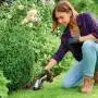 WG801E – 20 V Akku-Grasschere