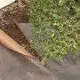 Plantex Gold - Mulch sheet 1x25 m - 7