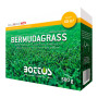 Hierba bermuda - 500 g de semillas para césped