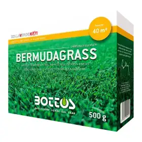 Bermudagrass - Lawn Seed 500g