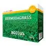 Bermudagrass - Lawn Seed 500g