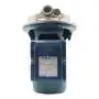 CP 170-ST4 - 1.5 HP three-phase stainless steel centrifugal electric pump Pedrollo - 2