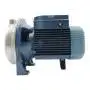 CP 170-ST4 - pompë elektrike centrifugale trefazore prej çelik inox 1,5 HP Pedrollo - 4