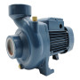 Pompe centrifuge électrique triphasée HF 5A - 1,25 CV