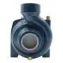 HF 5A - Elettropompa centrifuga trifase da 1.25 HP Pedrollo - 5