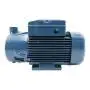 PQ 3000 - Pompă electrică trifazată cu rotor periferic de 3 CP