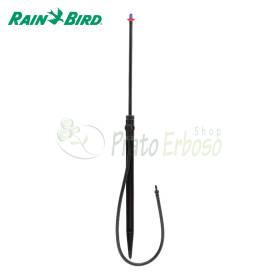 Jet Spike 310-180 - 180 Grad Sprüher auf Spike
