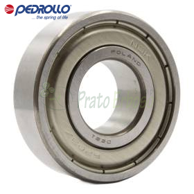 6203 - Ball bearing 17x40x12 mm Pedrollo - 1